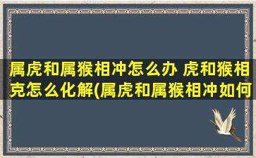 属虎和属猴相冲怎么办 虎和猴相克怎么化解(属虎和属猴相冲如何化解？虎和猴的相克对策)